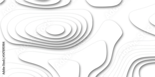 Abstract white papercut shapes background and topography map concept. Paper cut style design. Vector illustration.