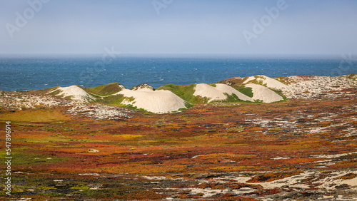 The coastline of the northern pacific ocean in California with the beautiful sand dunes covered with the hottentot fig in the colors orange, red, brown and green photo