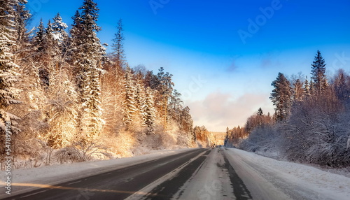 Winter landscape with road, trees and blue sky