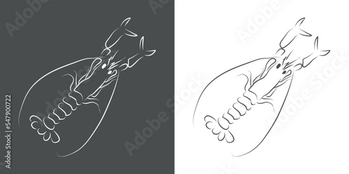 Logo marisco. Langosta lineal aislada