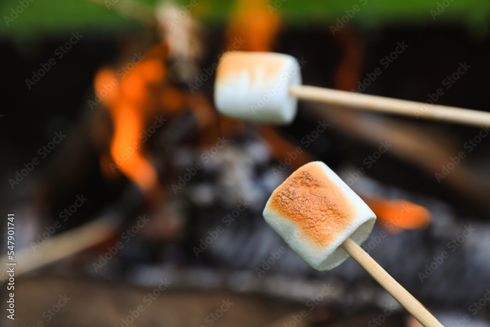 Delicious puffy marshmallows roasting over bonfire, closeup. Space for text Delicious puffy marshmallows roasting over bonfire, closeup. Space for text