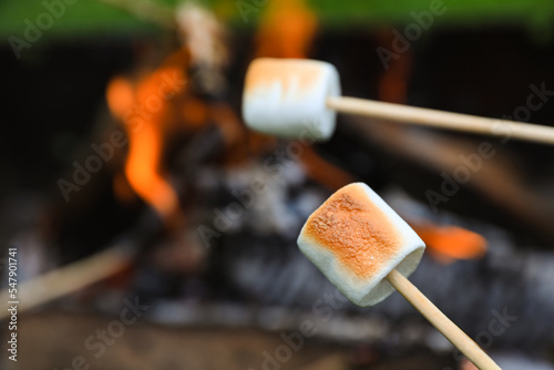 Delicious puffy marshmallows roasting over bonfire, closeup. Space for text