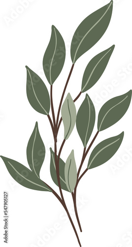 Floral tree branch with green elegant leaves clipart element