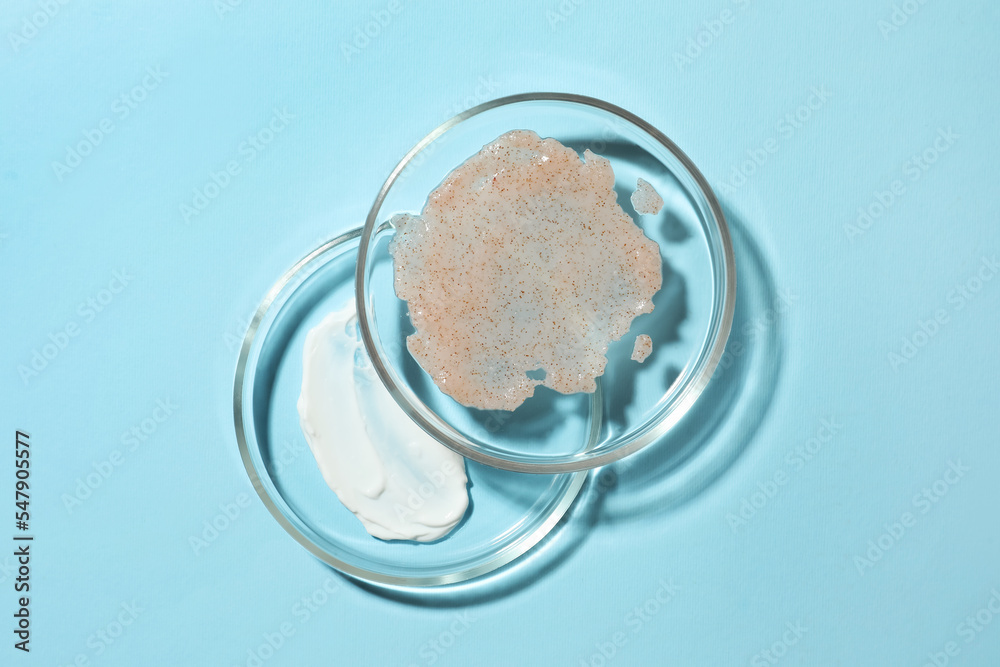 Petri dishes with samples on light blue background, flat lay Petri dishes with samples on light blue background, flat lay