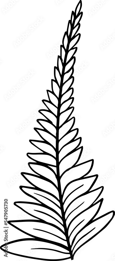 Fototapeta premium Abstract, hand drawn floral fern leaf branch, forest florals