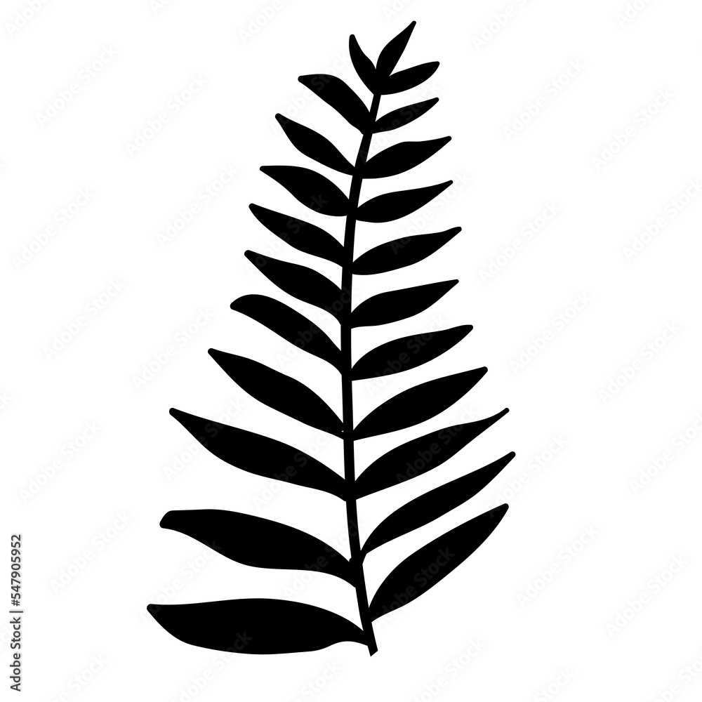 Fototapeta premium Abstract hand drawn floral leaf, fern leaf, forest florals