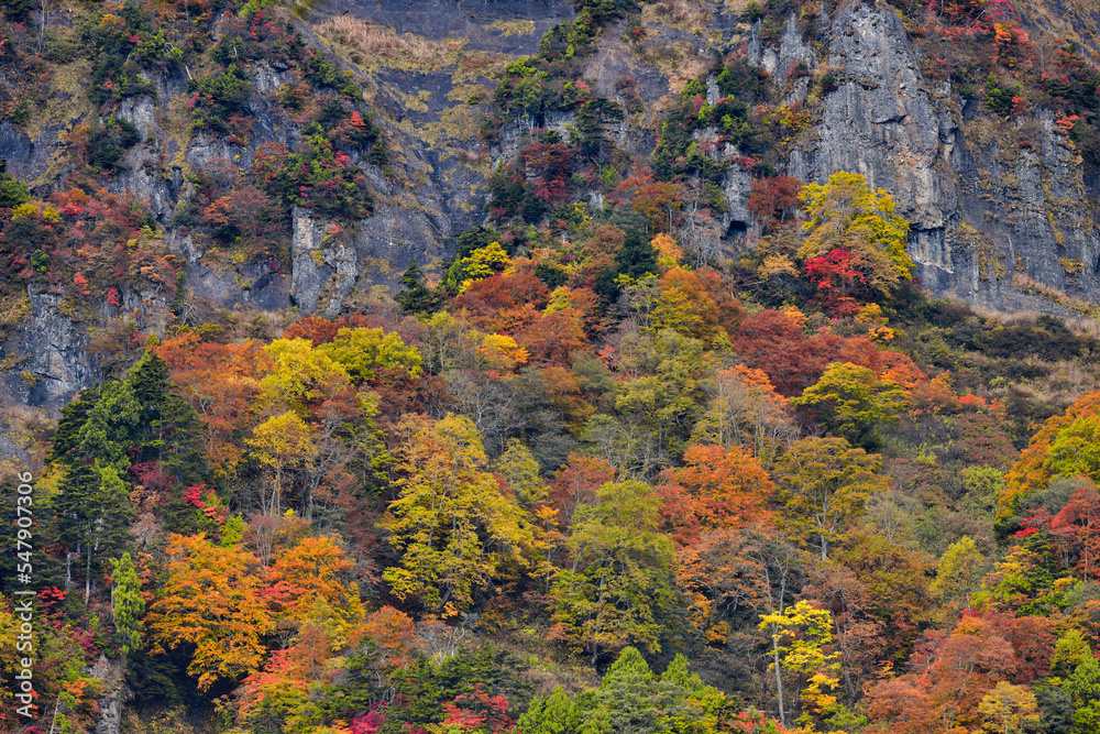 戸隠山の岩肌と紅葉
