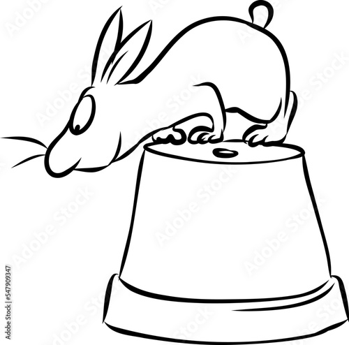 Niedlicher kleiner Hase schnuppert auf einem Blumentopf