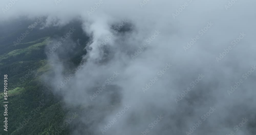 Pine forest fog clouds descending aerial top view drone 4K video Pine forest fog clouds descending aerial top view drone 4K video