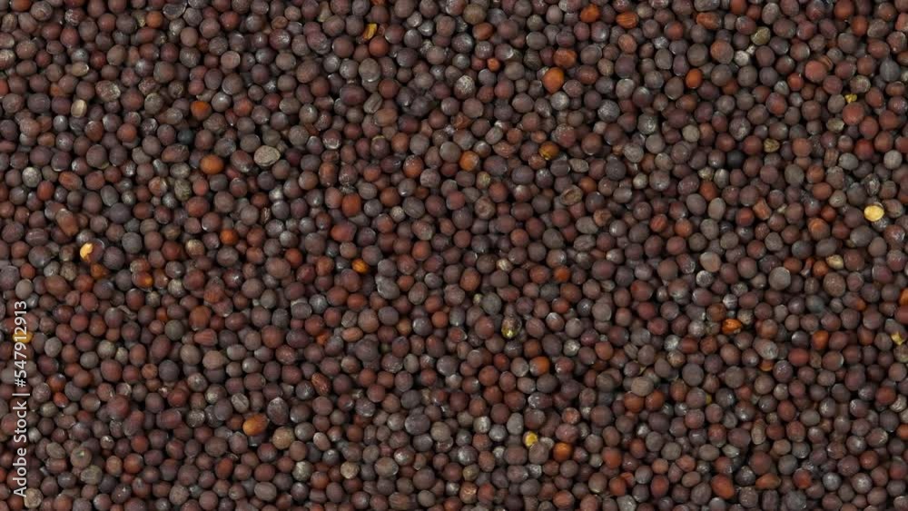 Mustard seeds, brown seeds on turn table Mustard seeds, brown seeds on turn table