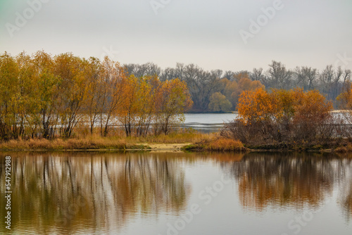 Small island with trees on the Dnieper river. Autumn nature and forest in Ukraine