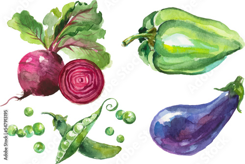 Watercolor painted collection of vegetables. Hand drawn fresh food design elements isolated on white background.