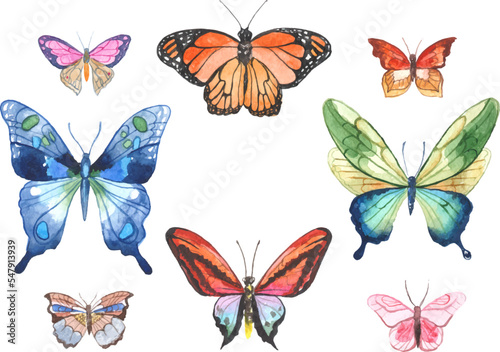 Vector illustration of watercolor butterflies isolated on white background © Maxim Basinski