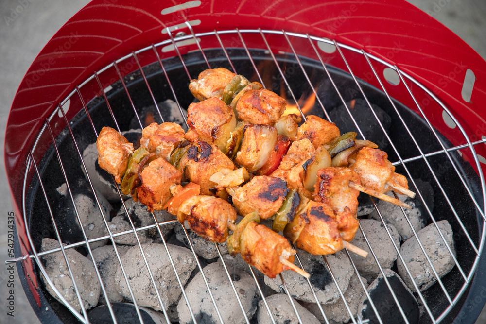 summer picnic with barbecue marinated chicken skewers with grilled vegetables summer picnic with barbecue marinated chicken skewers with grilled vegetables