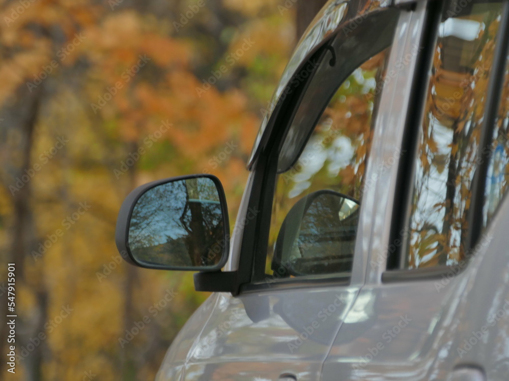 秋の森と車