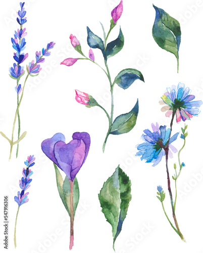 Watercolor painted collection of flowers. Hand drawn flower design elements isolated on white background.