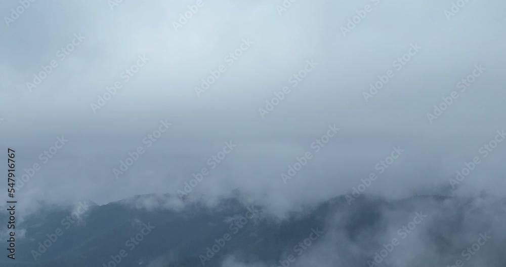 Pine forest fog clouds descending aerial top view drone 4K video Pine forest fog clouds descending aerial top view drone 4K video