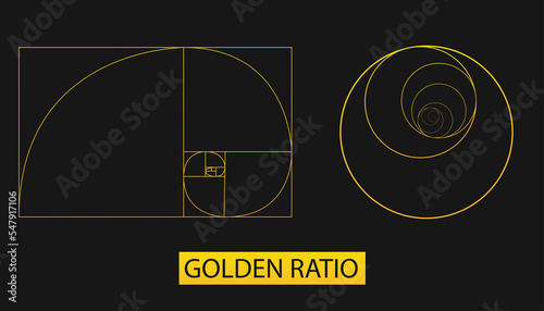 Abstract illustration with golden ratio on black background. Art gold. Spiral pattern. Line drawing. Vector illustration