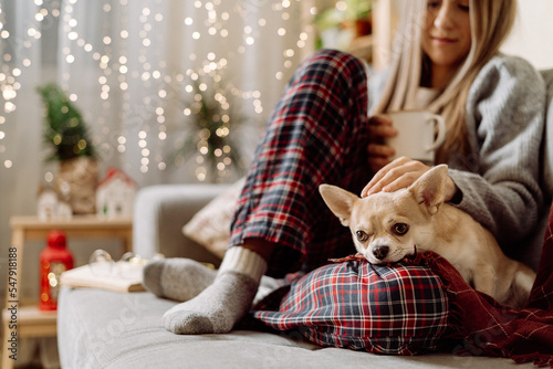 Cozy woman in knitted winter warm socks and sweater with sleeping dog and checkered plaid holding a cup of hot cocoa or coffee, during resting on couch at home in Christmas holidays. Winter drinks.