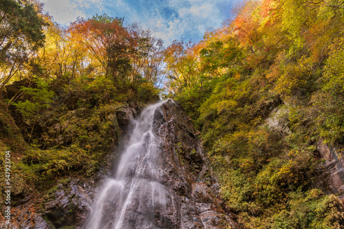 晩秋の西丹沢 本棚の滝