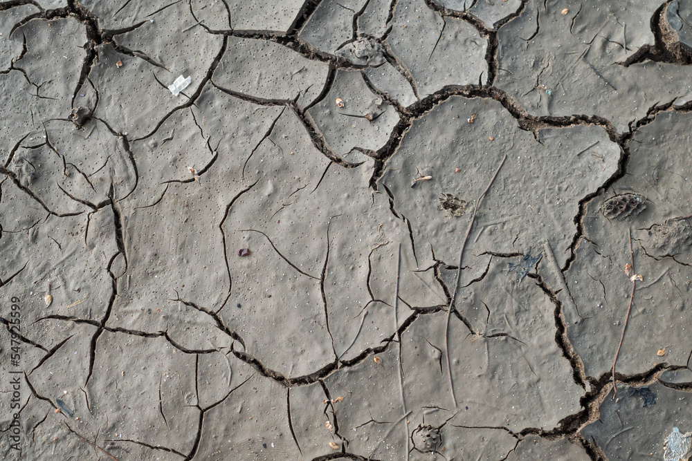 Fototapeta premium cracked ground wallpaper and background
