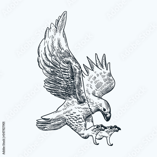 Vintage hand drawn spread wings eagle