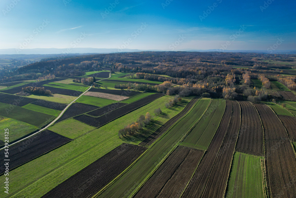 Fototapeta premium Colorful agriculture farmland, pattern of fields and trees aerial view (drone)
