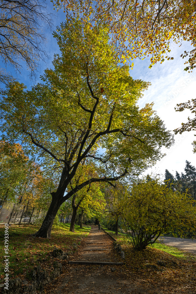Jogging in Milan park 