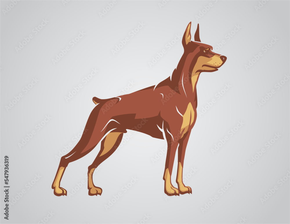 Doberman Attack Dog, Brown Coat Illustration