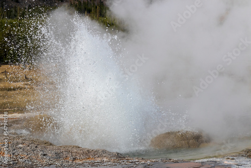 Geyser at Yellowstone National Park. USA.