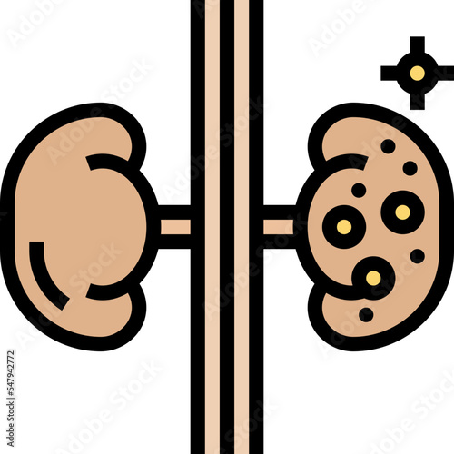 kidney icon