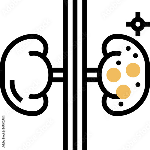 kidney icon