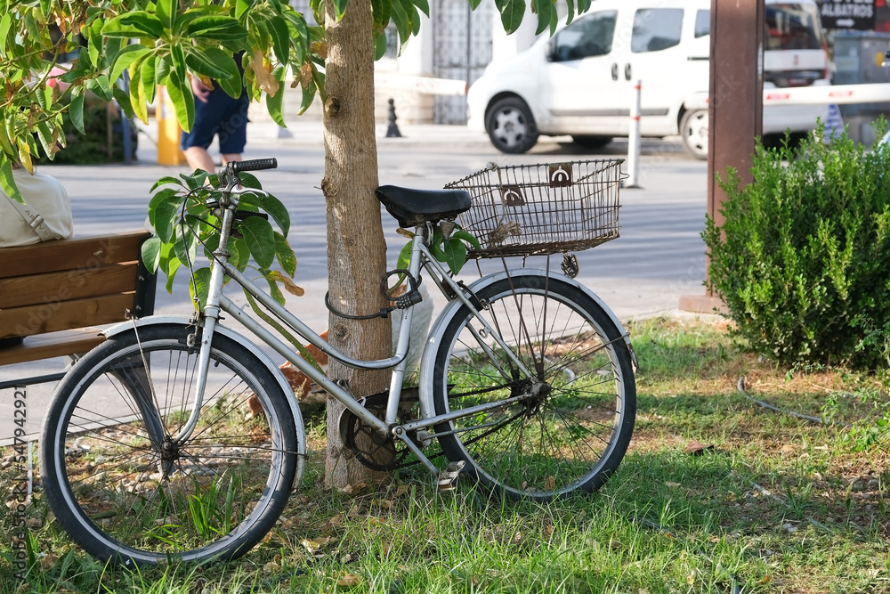 Old bicycle with a trunk near a tree in a city park Old bicycle with a trunk near a tree in a city park