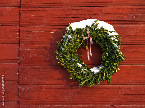 Wreath bound by green sprigs hanging on red wooden wall in winter.