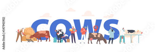 Cows Concept, Male and Female Characters Care of Cattle on Ranch, Men and Women Feeding, Milking Animals on Livestock