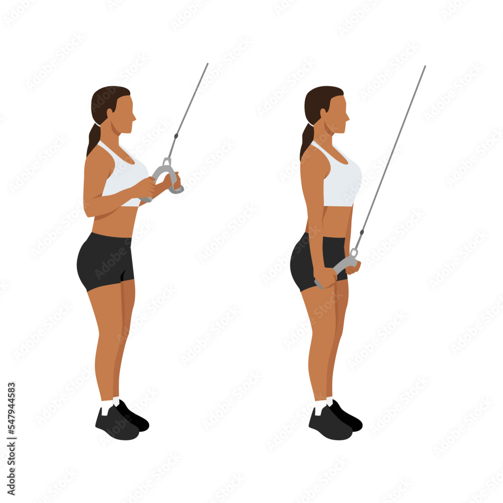 Woman doing cable rope tricep pull down or push exercise. Flat vector illustration isolated on white background Woman doing cable rope tricep pull down or push exercise. Flat vector illustration isolated on white background