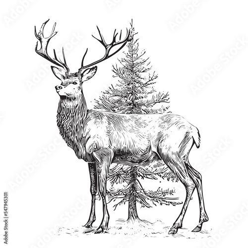 Christmas deer on the background of the Christmas tree sketch hand drawn Vector illustration.