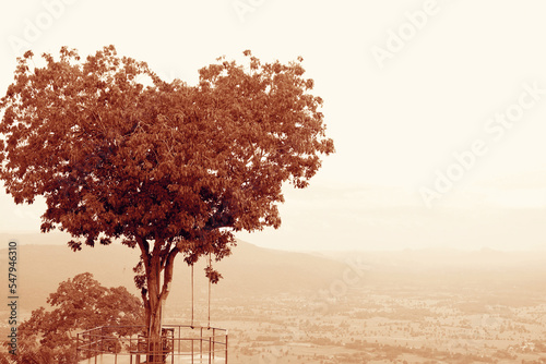Amazing Heart Shaped Tree on Cloudy Sky in Sepia Tone
