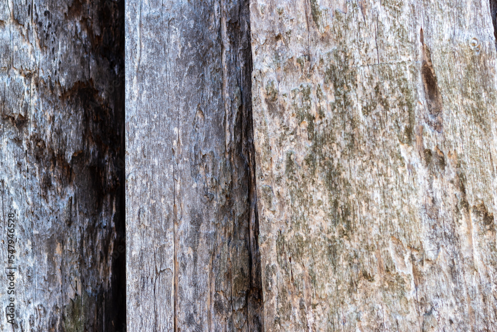 Obraz premium 古い木板