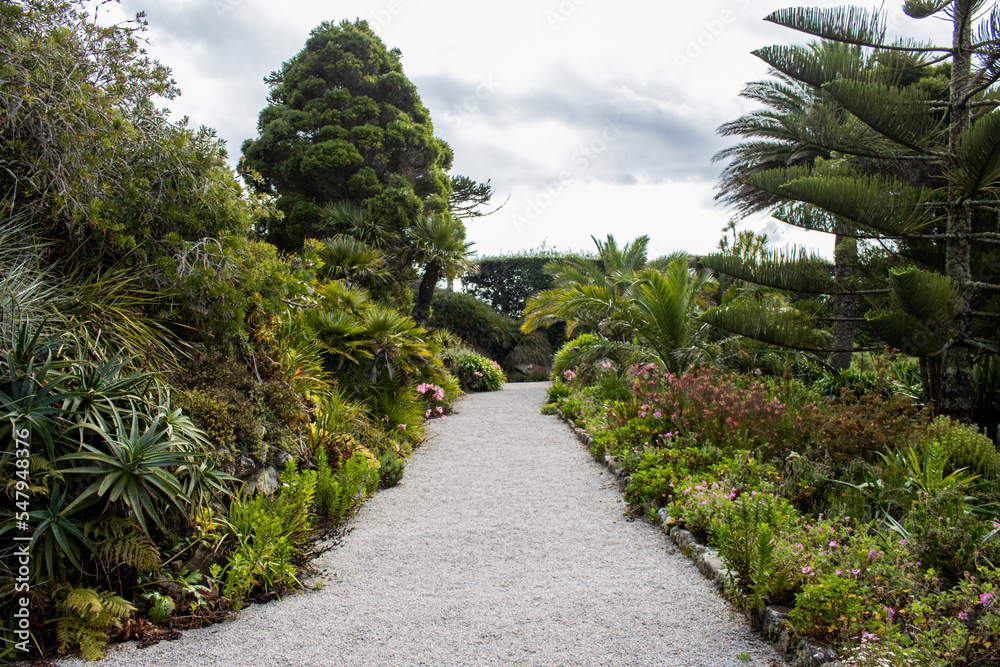 Tropical gardens on Tresco in the Isles of Scilly Tropical gardens on Tresco in the Isles of Scilly