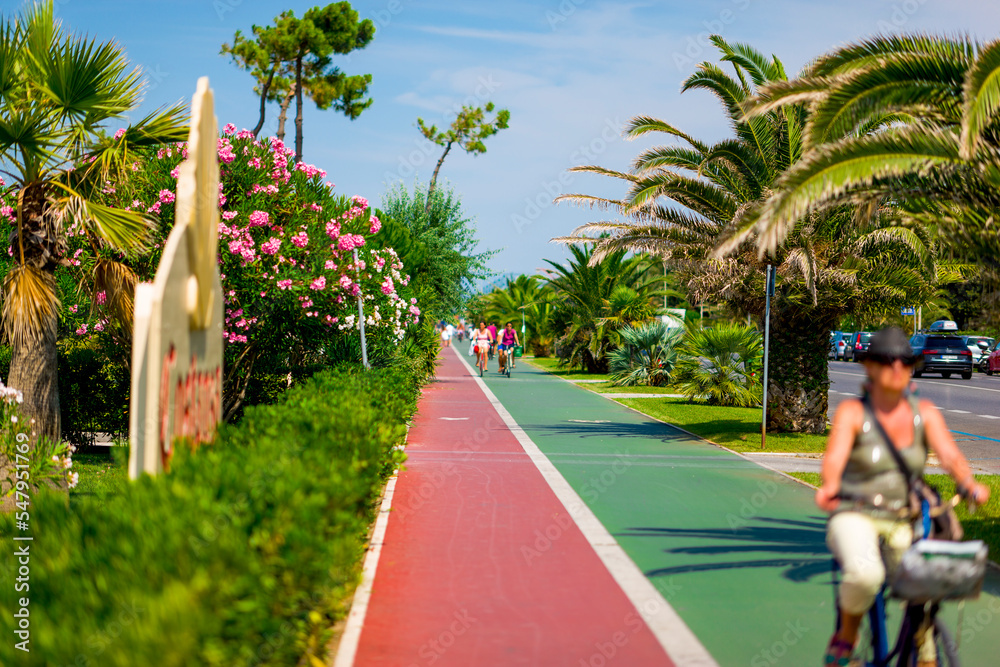 Droga rowerowa  wśród zieleni palm i kolorowych kwiatów w Kurortowym miejscu we Włoszech - obrazy, fototapety, plakaty 