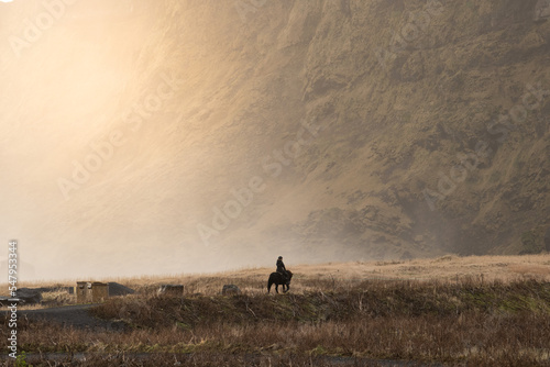 horse in the field - Iceland (Vik)