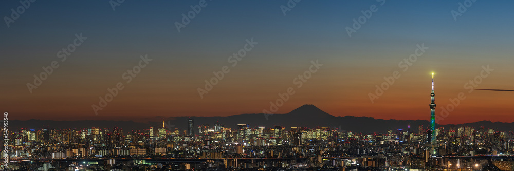 Ultra wide image of silhouette of Tokyo skyscrapers and Tokyo skytree on sunset orange sky.