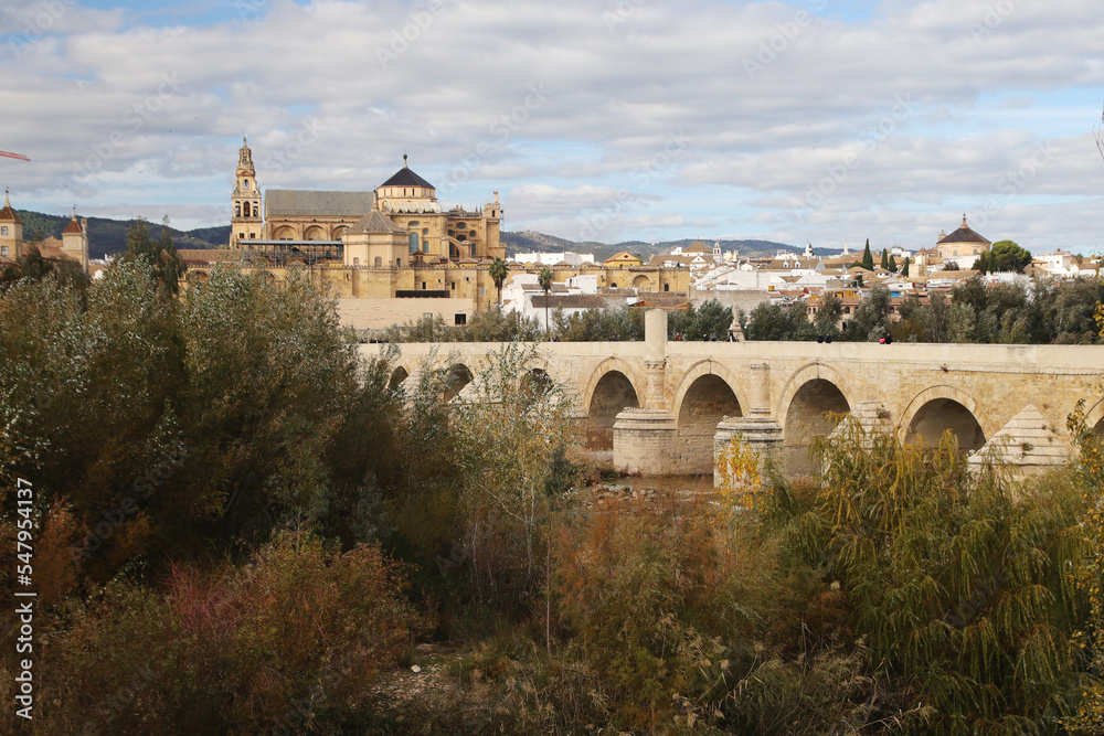 Mezquta cathedral and Roman bridge in Cordoba, Spain