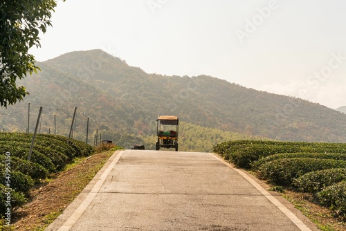 Small vehicle driving on a road passing between green tea planatation photo