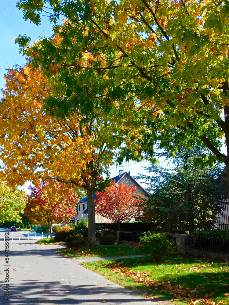 Naklejka premium Wohnen in der schönen Kleinstadt