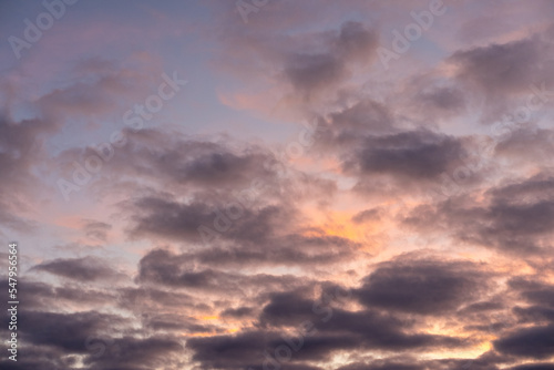 Landscape photo of big, pink cumulonimbus clouds in a stormy sky at sunset. Moody sunset or sunrise sky. High contrasts in a stormy sky. mammatuses