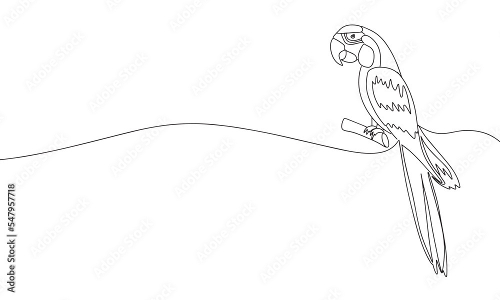 Fototapeta premium Hand draw parrot in line art outline one continues line. Vector illustration.