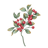 branch with berries