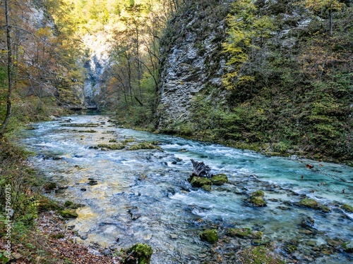Radovna river in Vintgar gorge, Slovenia
